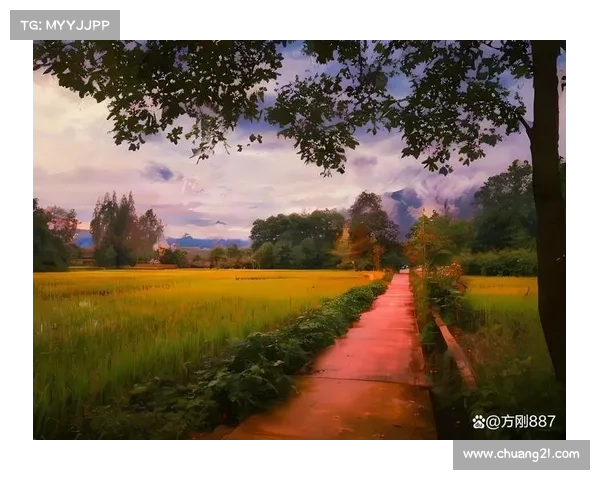 归家时光更美好 十个小秘诀让你感受家的温馨与幸福 归家时光更美好 十个小秘诀让你感受家的温馨与幸福